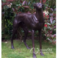 Lively Life Size Bronze Greyhound Dog Statue for Indoor Decoration